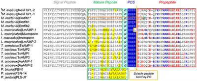 Mesobuthus Venom-Derived Antimicrobial Peptides Possess Intrinsic Multifunctionality and Differential Potential as Drugs